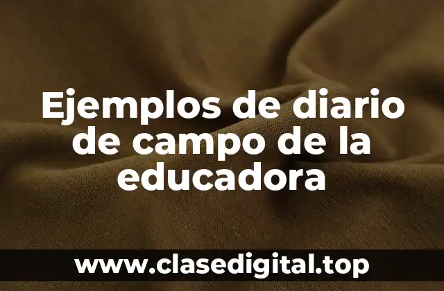 Ejemplos de diario de campo de la educadora