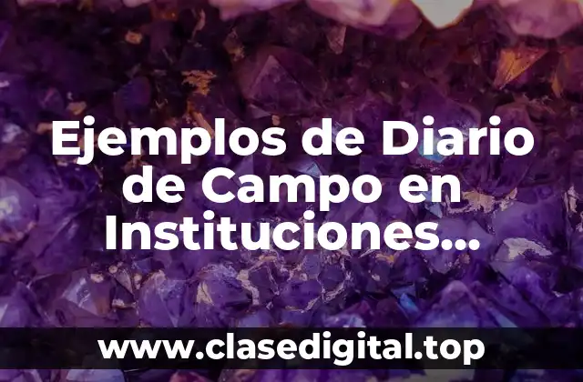 Ejemplos de Diario de Campo en Instituciones Públicas