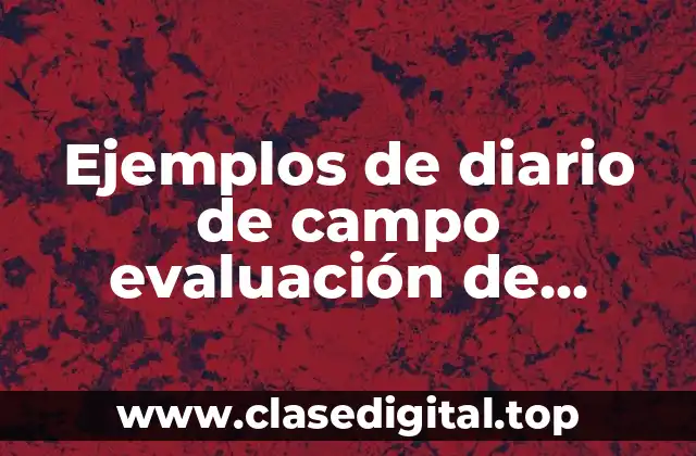 Ejemplos de diario de campo evaluación de programas