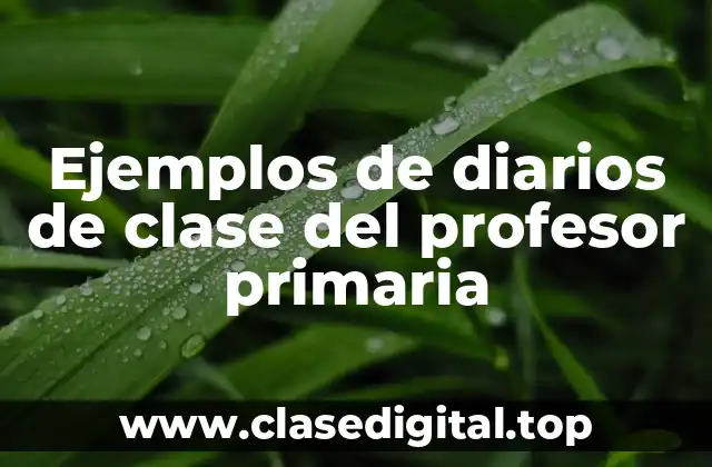 Ejemplos de diarios de clase del profesor primaria