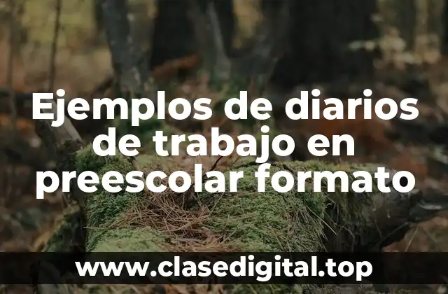 Ejemplos de diarios de trabajo en preescolar formato