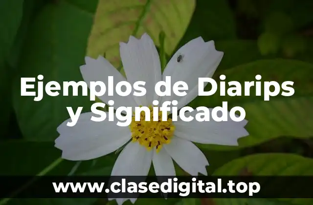 Ejemplos de Diarips y Significado