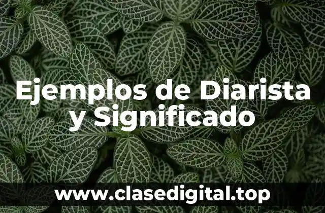 Ejemplos de Diarista y Significado