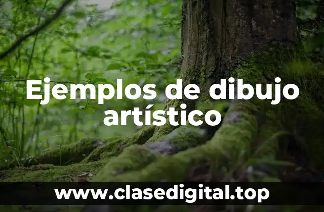 Ejemplos de dibujo artístico