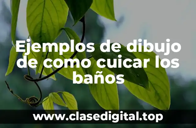 Ejemplos de dibujo de como cuicar los baños