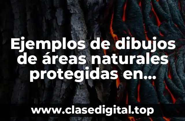 Ejemplos de dibujos de áreas naturales protegidas en México