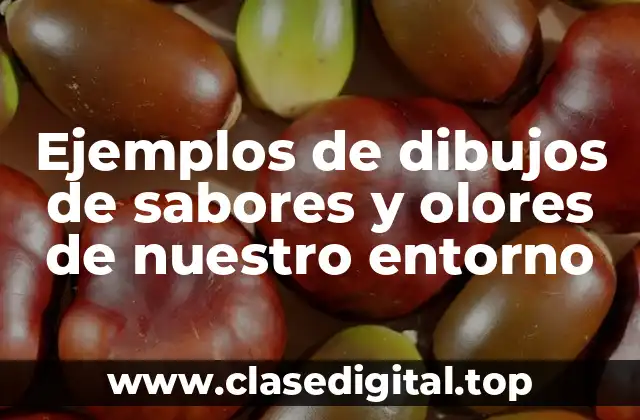 Ejemplos de dibujos de sabores y olores de nuestro entorno