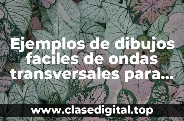 Ejemplos de dibujos faciles de ondas transversales para niños todos y Significado