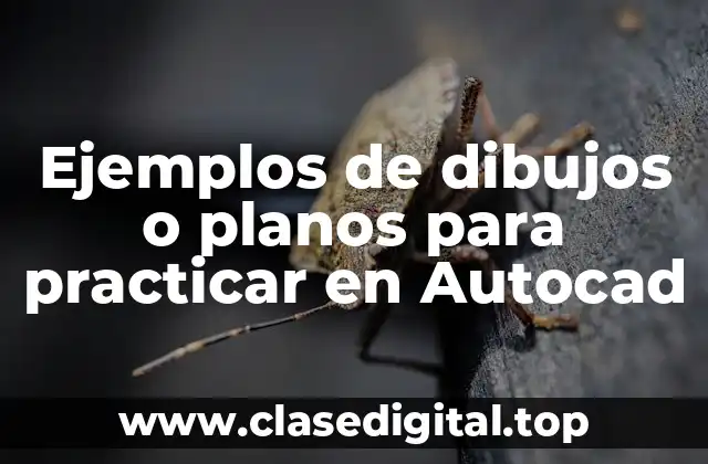 Ejemplos de dibujos o planos para practicar en Autocad