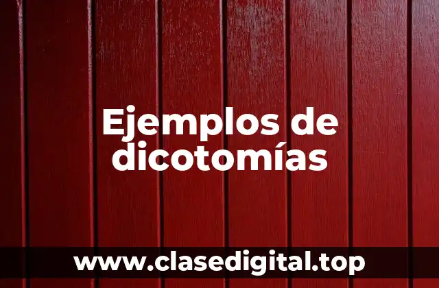 Ejemplos de dicotomías