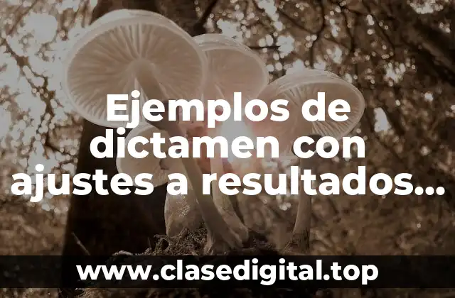 Ejemplos de dictamen con ajustes a resultados de ejercicios anteriores