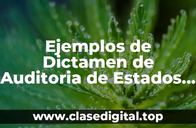 Ejemplos de Dictamen de Auditoria de Estados Financieros y Significado