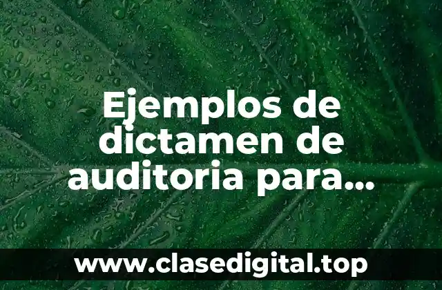 Ejemplos de dictamen de auditoria para efectos financieros