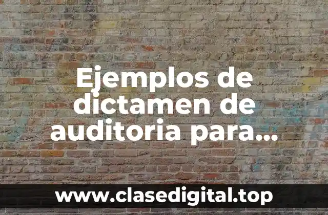 Ejemplos de dictamen de auditoria para efectos financieros