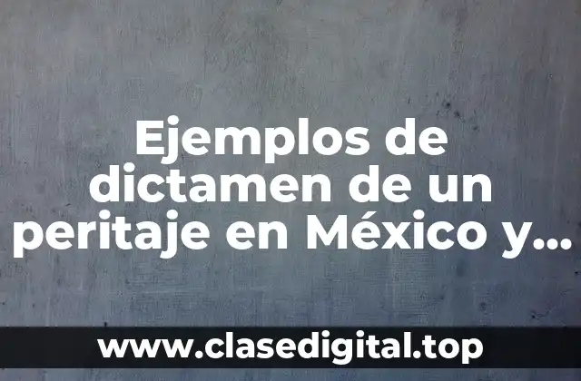 Ejemplos de dictamen de un peritaje en México y Significado