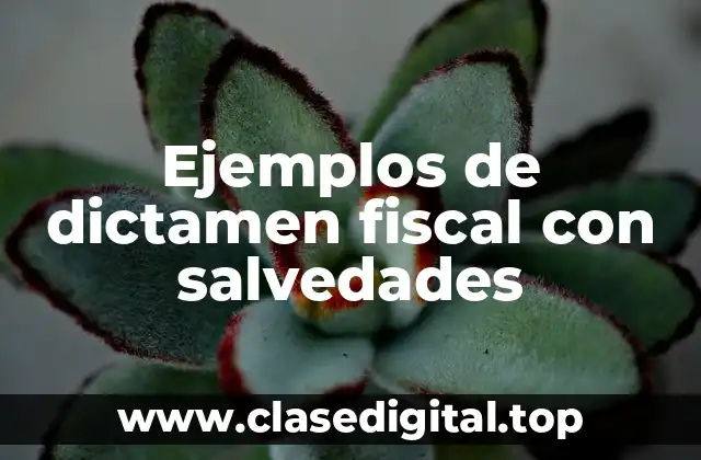 Ejemplos de dictamen fiscal con salvedades