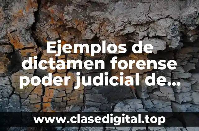 Ejemplos de dictamen forense poder judicial de Michoacán