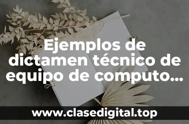 Ejemplos de dictamen técnico de equipo de computo