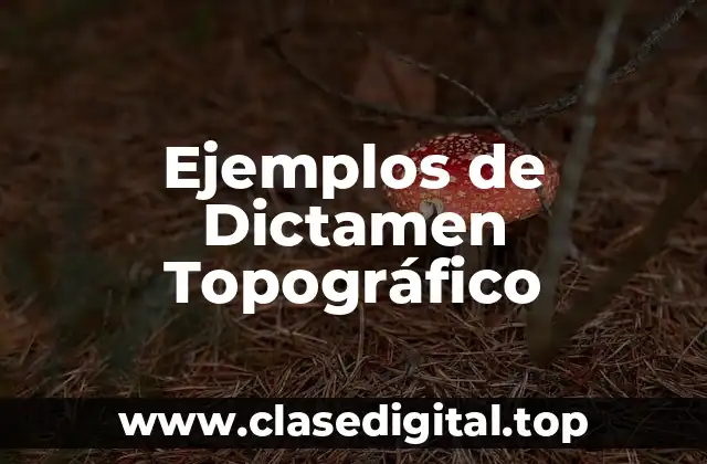Ejemplos de Dictamen Topográfico