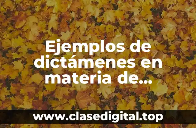 Ejemplos de dictámenes en materia de contabilidad forense