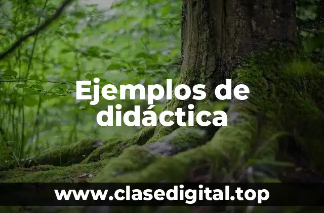 Ejemplos de didáctica