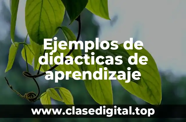 Ejemplos de didacticas de aprendizaje