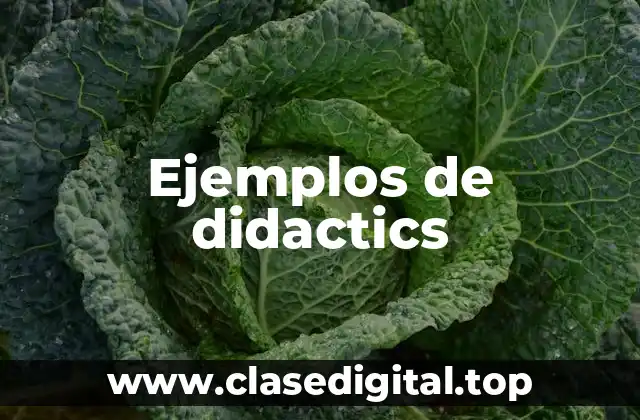 Ejemplos de didactics