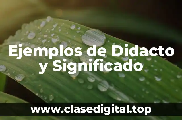 Ejemplos de Didacto