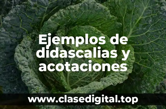 Ejemplos de didascalias y acotaciones