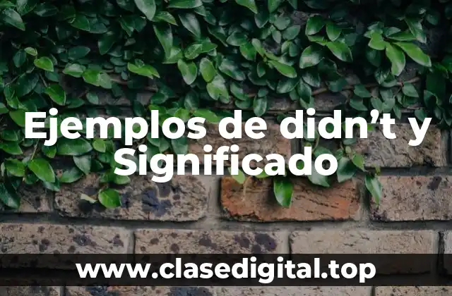 Ejemplos de didn’t y Significado