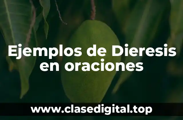 Ejemplos de Dieresis en oraciones