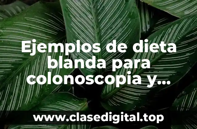 Ejemplos de dieta blanda para colonoscopia