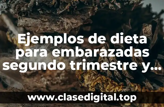 Ejemplos de dieta para embarazadas segundo trimestre y Significado