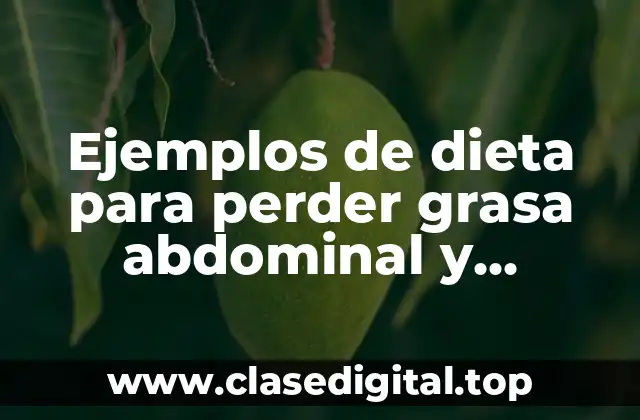 Ejemplos de dieta para perder grasa abdominal y Significado