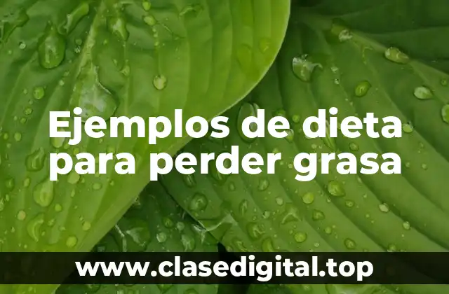 Ejemplos de dieta para perder grasa