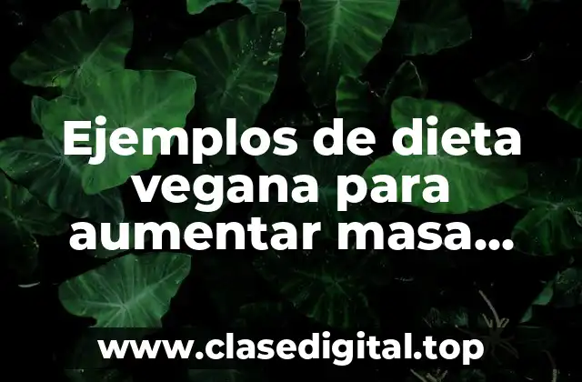 Ejemplos de dieta vegana para aumentar masa muscular