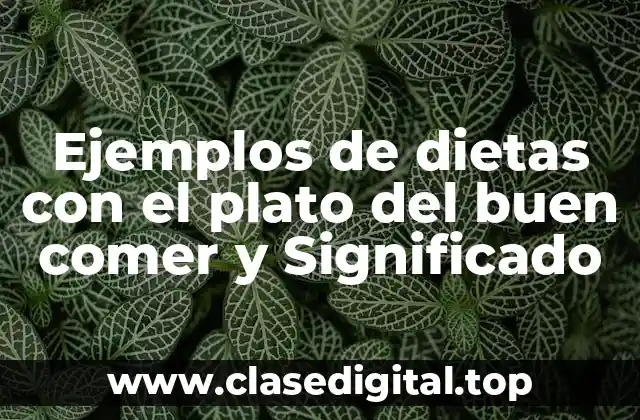 Ejemplos de dietas con el plato del buen comer y Significado