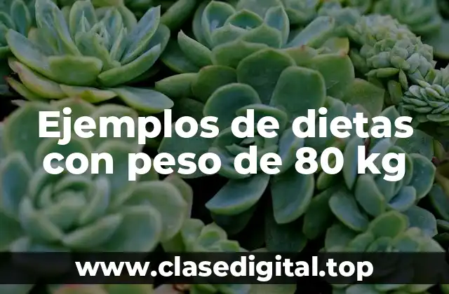 Ejemplos de dietas con peso de 80 kg