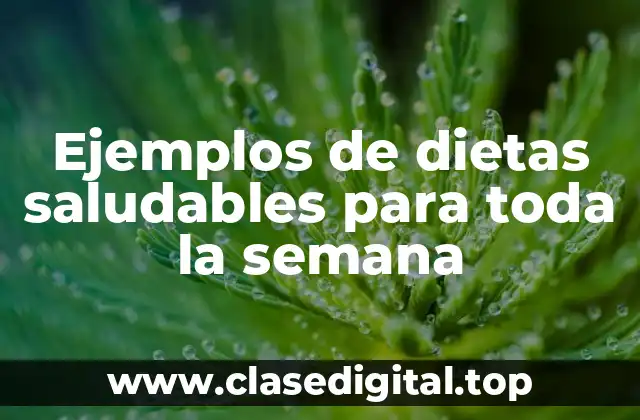 Ejemplos de dietas saludables