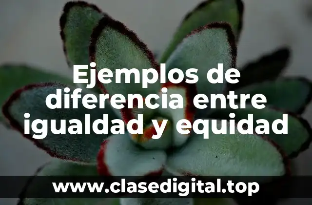 Ejemplos de diferencia entre igualdad y equidad