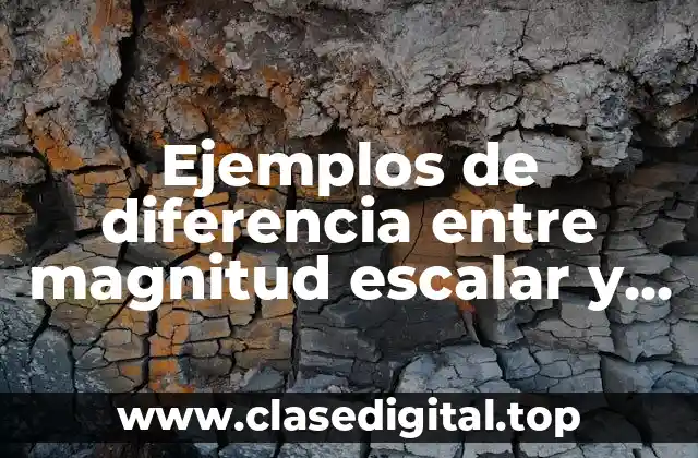 Ejemplos de diferencia entre magnitud escalar y vectorial