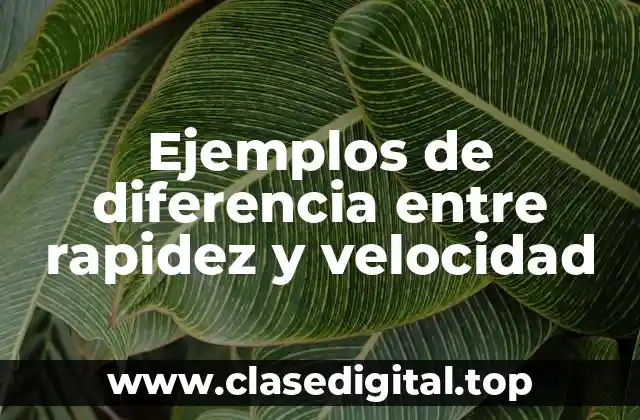 Ejemplos de rapidez