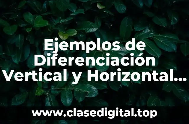 Ejemplos de Diferenciación Vertical y Horizontal de una Organización