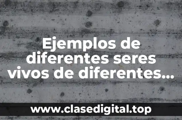 Ejemplos de diferentes seres vivos de diferentes imágenes
