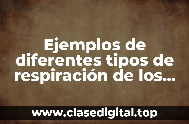 Ejemplos de diferentes tipos de respiración de los seres vivos