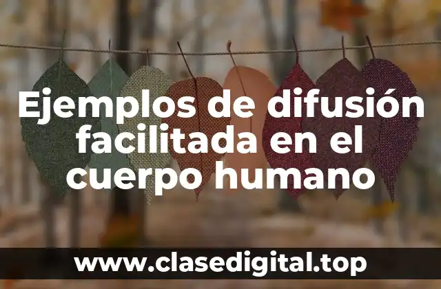 Ejemplos de difusión facilitada en el cuerpo humano