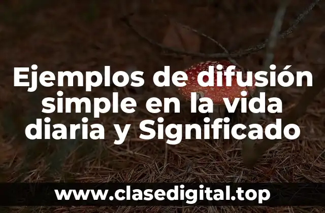 Ejemplos de difusión simple en la vida diaria y Significado