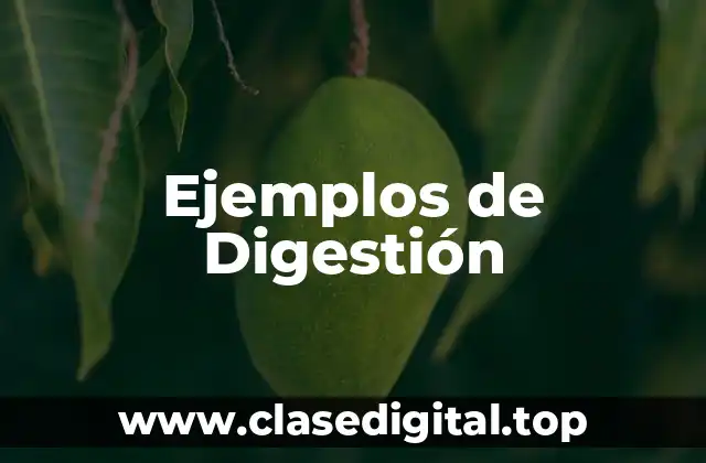 Ejemplos de Digestión