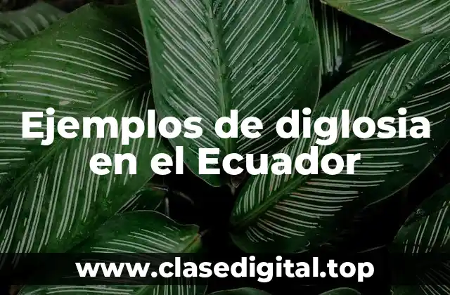 Ejemplos de diglosia en el Ecuador
