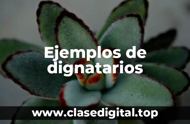 Ejemplos de dignatarios